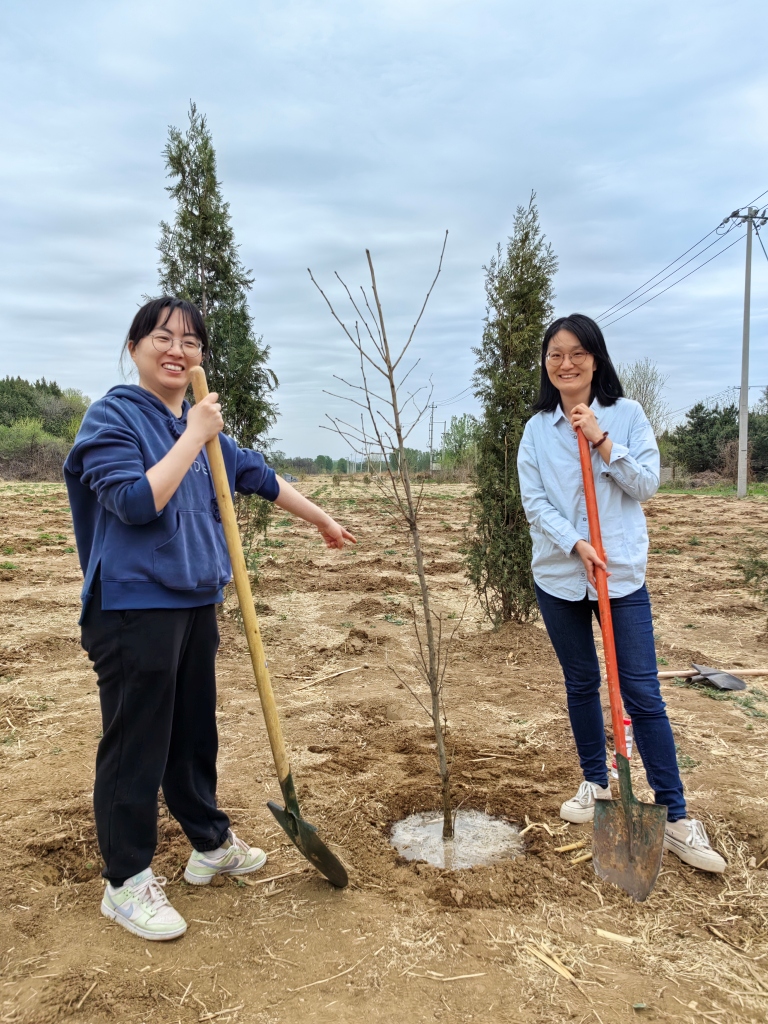 建设美丽中国